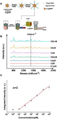 Magnetically Enhanced Liquid SERS for Ultrasensitive Analysis of Bacterial and SARS-CoV-2 Biomarkers